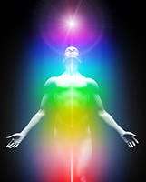 I SING THE BODY BIOENERGETIC